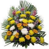 ٰʻԤ